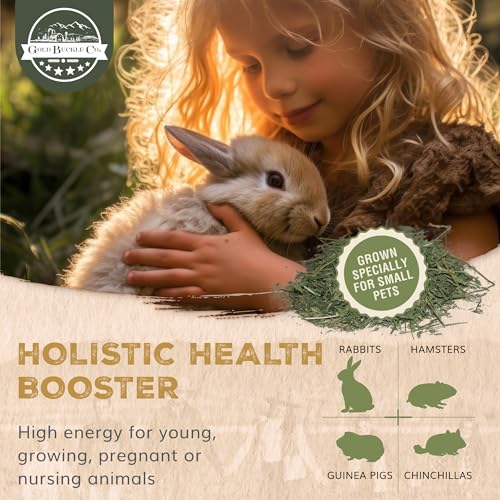 9lb Farm Fresh Alfalfa Hay for Rabbits, Guinea Pigs, Chinchillas, Goats, Hamsters & Ferrets - Organic Small An - view 4