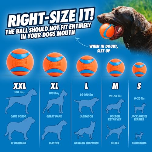 Chuckit! Sport 26L Dog Ball Launcher - Includes a 3-inch Diameter Large Ball for Dogs 60-100 Pounds - Manual T - view 7