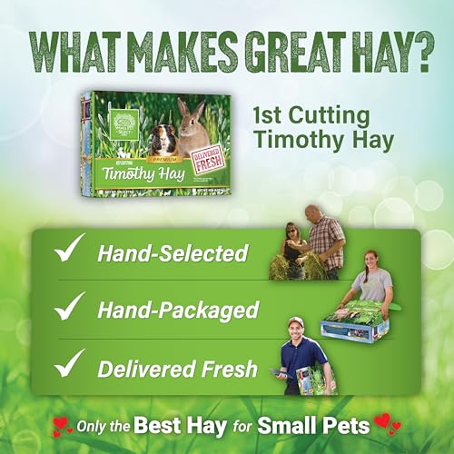 Small Pet Select 1st Cut Timothy Hay Pet Food for Rabbits, Guinea Pigs, and Other Small Animals, Easy to Store - view 7