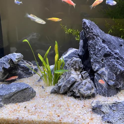 FANTIAN 5 lbs Aquarium Silica Sand. 0.4-0.8 mm Mini Gravel Substrate for Fish Tank, Plants Potted, Fire Pits,  - view 4