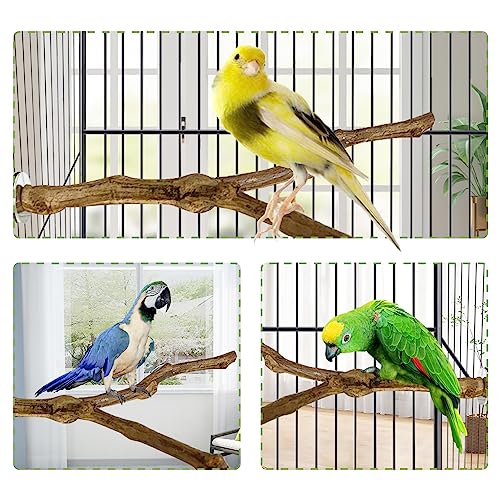 kathson Natural Parrot Perch Bird Stand Pole Wild Grape Stick Paw Grinding Fork Parakeet Climbing Standing Bra - view 4