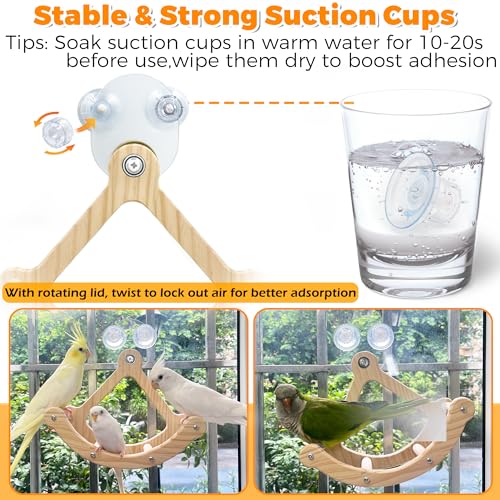 Rocking Bird Toys Perch for Window and Cage, Bird Perch for Wall Suction Mount, Wooden Parrot Toys for Medium  - view 5
