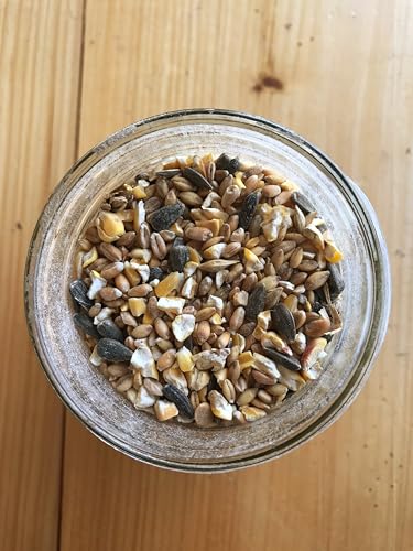 Ernst Grain & Livestock Bird and Wildlife Feed – Perfect for Birds, Ducks, Squirrels, Turkeys, Rabbits, Geese, - view 4