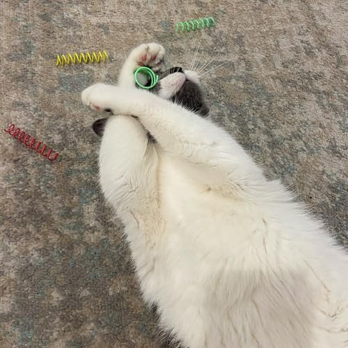 SPOT Colorful Springs Cat Toys – 3" Bouncy Coils for Indoor Cats & Kittens to Swat, Chase & Bite, Safe Lightwe - view 4