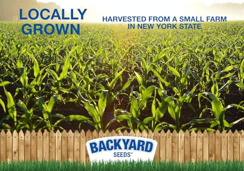 CountryMax Backyard Seeds Cracked Corn 50lbs - High-Energy Animal Feed for Chickens, Squirrels, Deer & Wild Bi - view 3