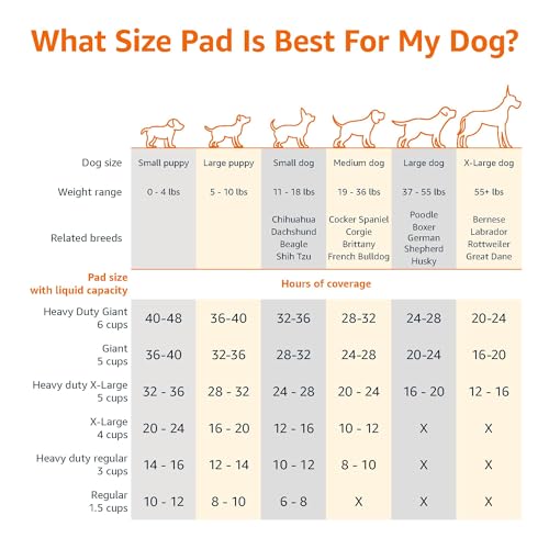 Basics Leak-Proof Dog and Puppy Potty Training Pee Pads with Quick-Dry 5-Layer Super Absorbent Design, Regular - view 5