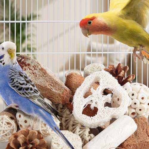 Kyouki Bird Toys Parrot Toys Natural Bird Foraging Box Foot for Parakeets,Cockatiels,Conures,Love Birds,and Ot - view 6