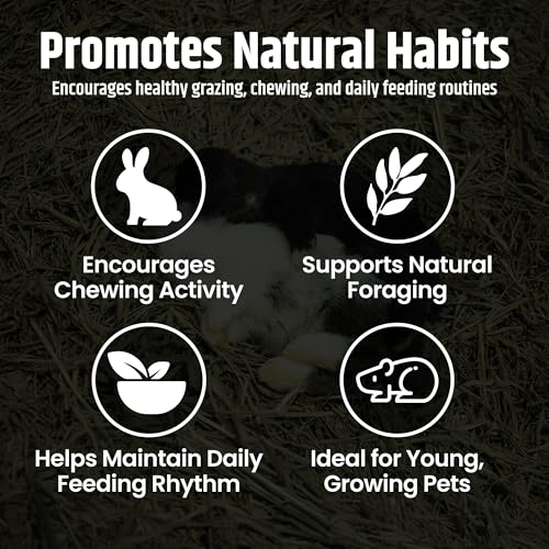 High Desert Alfalfa Hay, Protein Rich Soft Leaf Food for Young Growing Animals, Natural Rabbit Food and Guinea - view 4