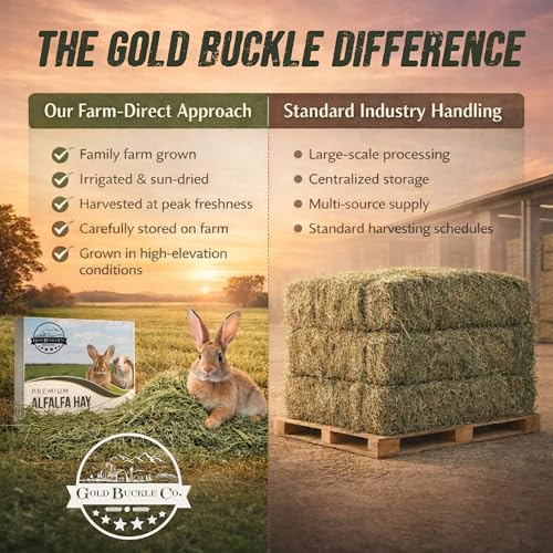 9lb Farm Fresh Alfalfa Hay for Rabbits, Guinea Pigs, Chinchillas, Goats, Hamsters & Ferrets - Organic Small An - view 3
