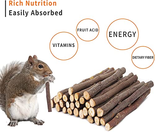 700g Apple Sticks Molar Wood Treats, Rabbit Toys Chinchilla Guinea Pig Bunny Toys Wood Chews Sticks for Teeth  - view 4