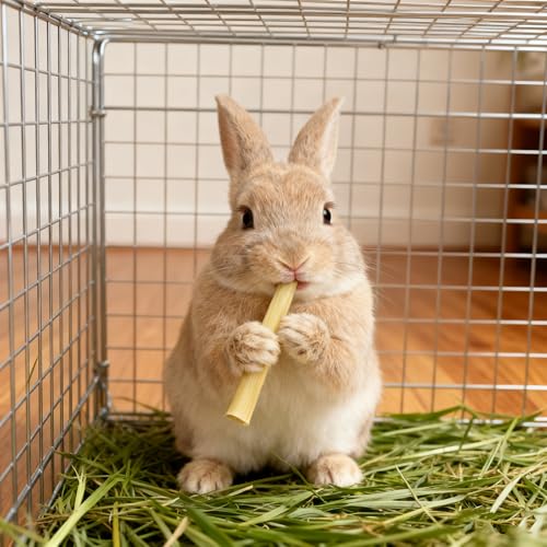 emours Natural Bamboo Teeth Chews for Rabbits Chinchilla Guinea Pigs Sugar Gerbils and More Small Pets,500g - view 6