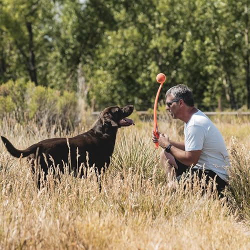 Chuckit! Sport 26L Dog Ball Launcher - Includes a 3-inch Diameter Large Ball for Dogs 60-100 Pounds - Manual T - view 3