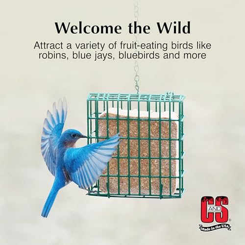 C&S Berry Suet Treat, Wild Bird Food for Robins, Blue Jays, Bluebirds, Tanagers, Thrushes and More, 8 Pack - view 4