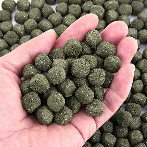 Timothy Hay Cubes 6oz -100% Natural Timothy Hay Made for Rabbits Sulcata Tortoise Guinea Pig, 6 oz - view 5