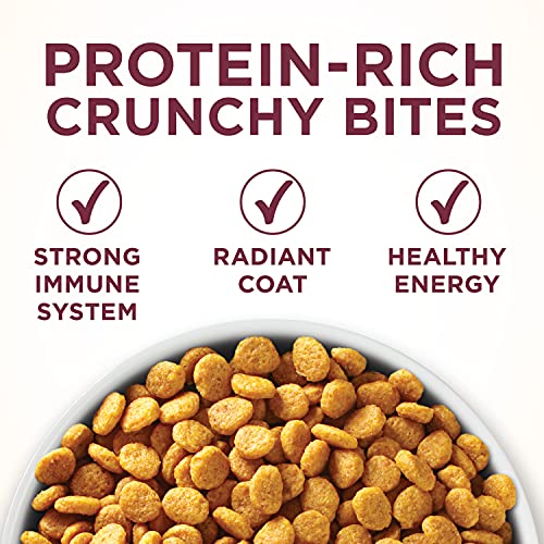 Purina ONE High Protein Dry Cat Food, +Plus Urinary Tract Health Formula - 16 lb. Bag - view 7