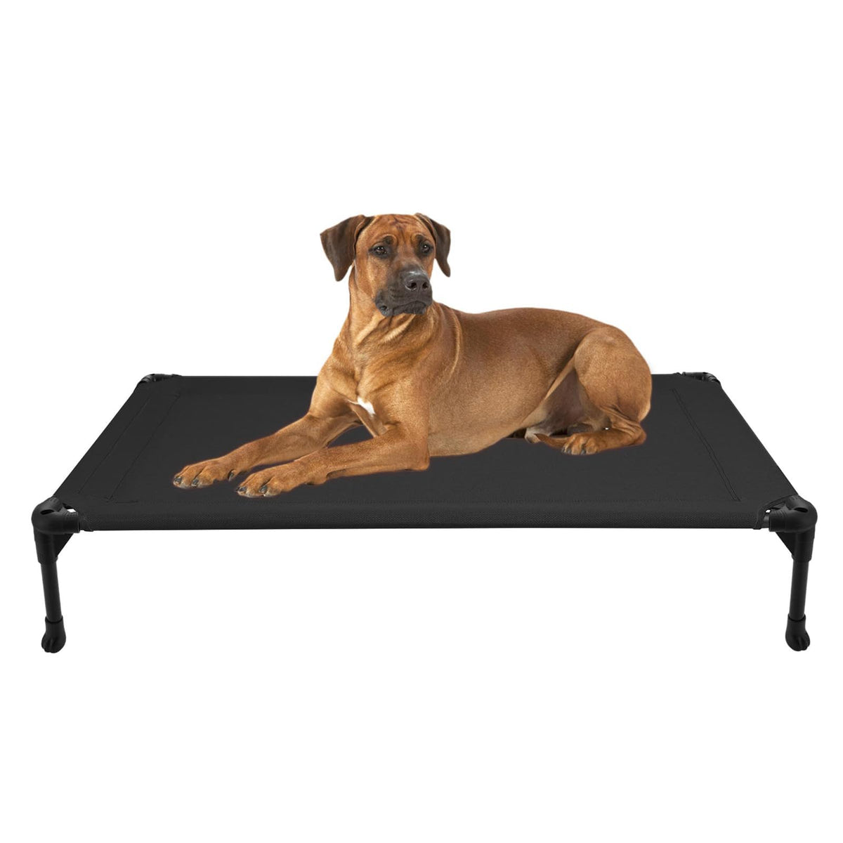 Veehoo Outdoor Elevated Dog Bed Large Sized Dogs, Large Cooling Raised Dog Cots Beds Training Platform Off Gro