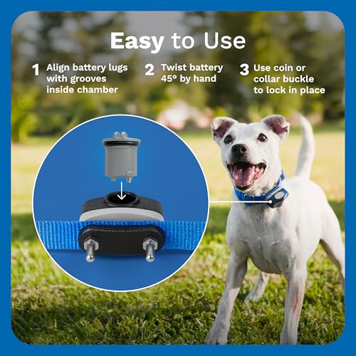 Invisible Fence Power Cap Battery - Original IFB Electric Fence Battery Replacement for Dog Collars - Long-Las - view 6