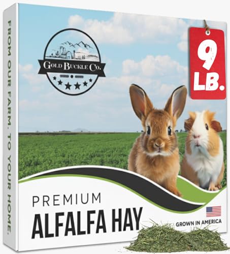 9lb Farm Fresh, USA Grown, Organic Alfalfa Hay for Rabbits, Guinea Pigs, Chinchillas, Goats, Hamsters & Ferret - view 2