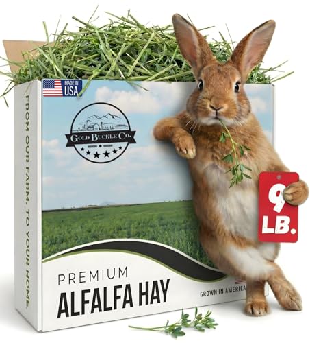 9lb Farm Fresh Alfalfa Hay for Rabbits, Guinea Pigs, Chinchillas, Goats, Hamsters & Ferrets - Organic Small An - view 2