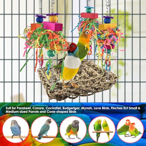 KATUMO Conure Toys, Bird Grass Swing Mat Parrot Climbing Hammock with Colorful Toys for Parakeet, Cockatiel, S - view 6