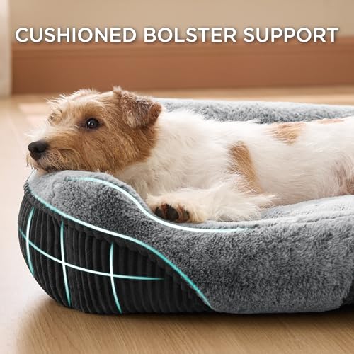 Bedsure Washable Dog Bed Small Medium Size Dog - Rectangle Fluffy Plush Pet Bed Puppy Bed, Comfy Corduroy Flee - view 3
