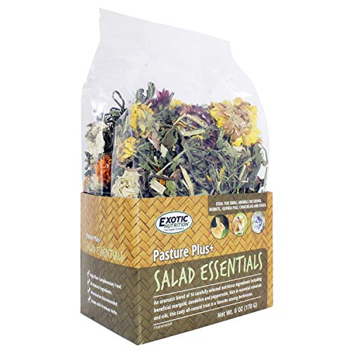 Exotic Nutrition Pasture Plus+ Salad Essentials - Healthy Natural High-Fiber Dried Flower & Herb Treat - Guine - view 5