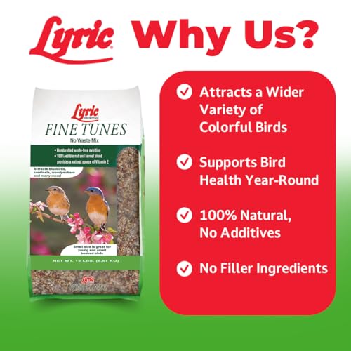 Lyric Fine Tunes Wild Bird Seed Mix - No Waste Bird Food Mix - Attracts Bluebirds, Finches, Chickadees & More  - view 4