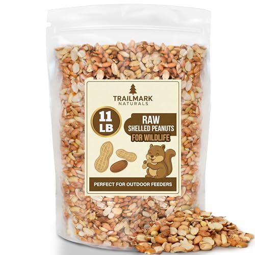 11 LB - Raw Shelled Peanuts for Squirrels, Out of Shell Peanuts for Birds and Wildlife- Squirrel Food, Wild Bi - view 2