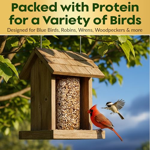 Mealworm Bird Seed Cylinders with Hole – Premium Mealworm Birdseed Log – Sunflower Chips & Dried Mealworms for - view 7