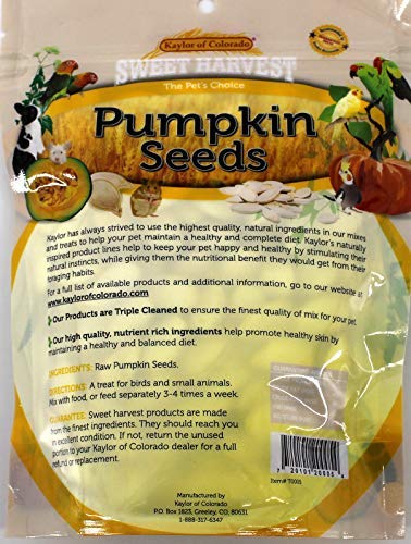 Pumpkin Seeds, 5 Oz Bag - Real Pumpkin Seeds for Birds and Small Animals - Rabbits, Hamsters, Mice, Gerbils, R - view 2