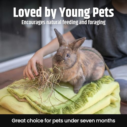High Desert Alfalfa Hay, Protein Rich Soft Leaf Food for Young Growing Animals, Natural Rabbit Food and Guinea - view 5