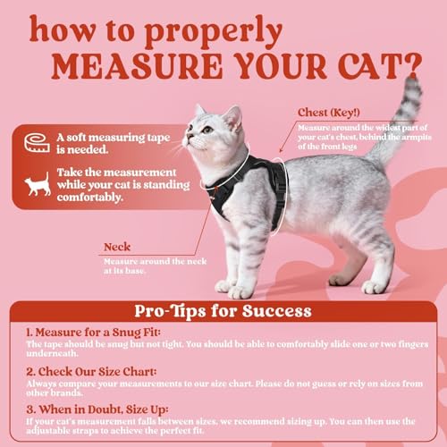 rabbitgoo Cat Harness and Leash for Walking, Escape Proof Soft Adjustable Vest Harnesses for Cats, Easy Contro - view 3
