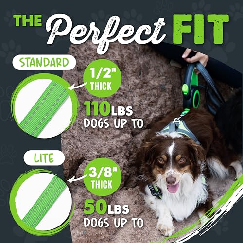 Mighty Paw Retractable Dog Leash 2.0 | 16' Heavy Duty Reflective Nylon Tape Lead for Pets up to 0-50 lbs. Tang - view 3