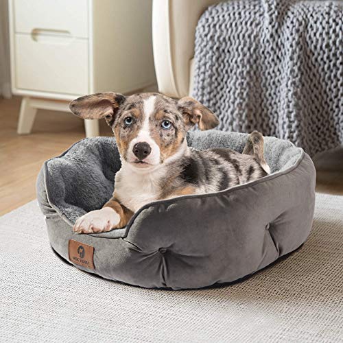Asvin Small Dog Bed for Small Dogs, Cat Beds for Indoor Cats, Pet Bed for Puppy and Kitty, Extra Soft & Machin - view 3