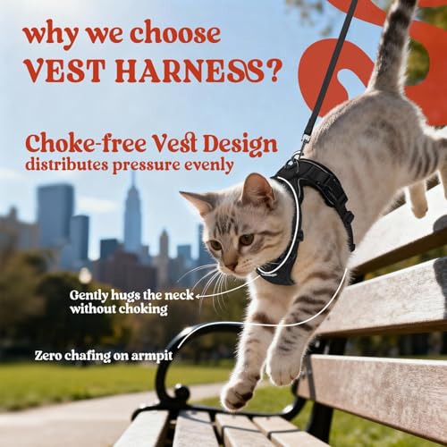 rabbitgoo Cat Harness and Leash for Walking, Escape Proof Soft Adjustable Vest Harnesses for Cats, Easy Contro - view 4