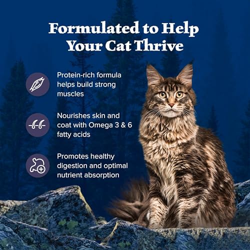 Blue Buffalo Wilderness Natural Adult Dry Cat Food, High-Protein and Grain-Free Diet, Supports Healthy Muscle  - view 5
