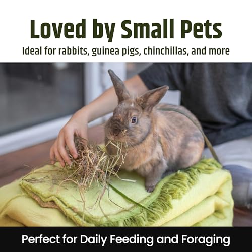 High Desert 2nd Cutting Timothy Hay for Rabbits, Guinea Pigs, Chinchillas and Small Pets, Soft Leafy for Daily - view 5