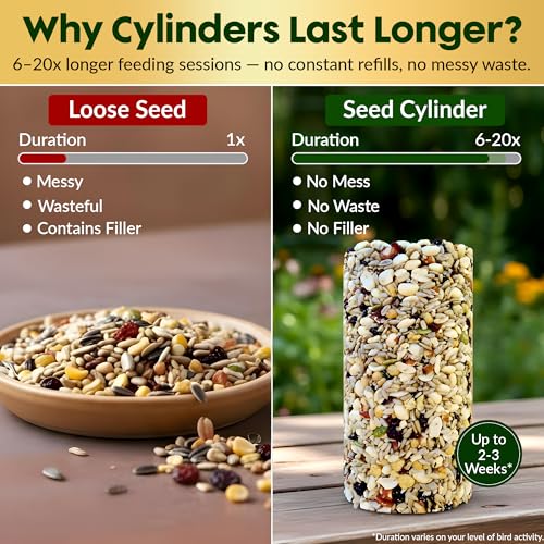 Woodpecker Bird Seed Cylinders with Hole – Premium Woodpecker Food Blend with Sunflower Chips, Peanuts & Suet  - view 4