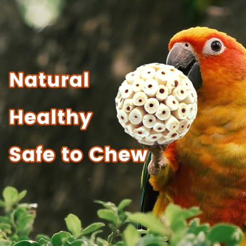 4PCS Bird Toys Sola Balls 2.36'' - Bird Foraging Toy, Sola Atta Ball, Parrot Chew Shred Toy for Sharpening Cla - view 8
