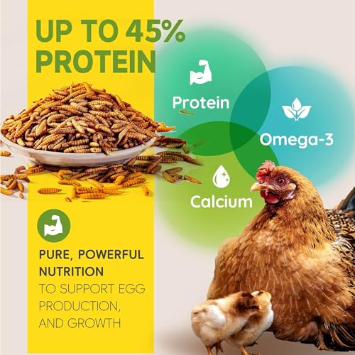 5LB Non-GMO Dried Black Soldier Fly Larvae for Chickens 45% Protein High Calcium Chicken Feed Alternative to M - view 3