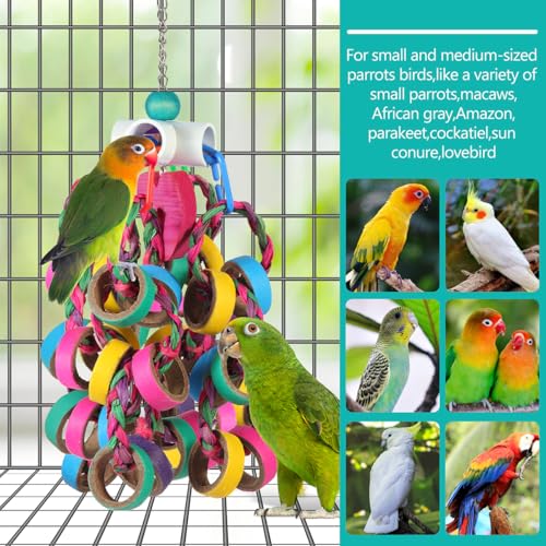 lovyoCoCo Bird Toys Conure Toys,Bird Parrot Foraging Shredder 24 Pcs Colorful Bagel Chewy Rings for Small Parr - view 4
