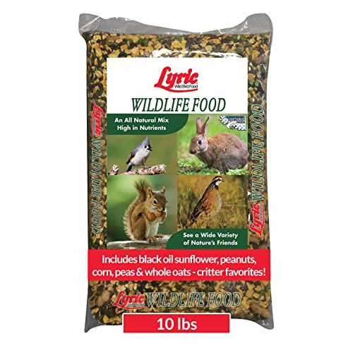 Lyric Wildlife Critter Food for Deer, Squirrels, Turkeys & Rabbits, Wild Bird Seed for Outside Feeders, 10 lb  - view 2