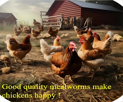 Classic Flock 5lb Dried mealworms - High Protein, Pure Natural, Delicious - Ideal for Chickens, Birds, Ducks,  - view 4