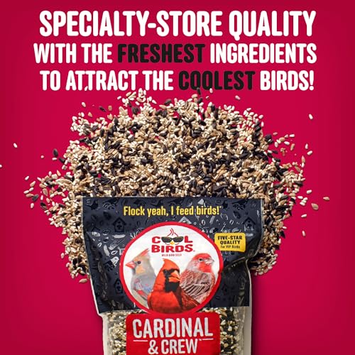 Cardinal & Crew Wild Bird Seed – 10 lb. Black Oil Sunflower, Sunflower Hearts & Safflower Blend for Cardinals, - view 4
