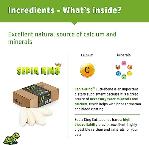 Large - 100% Natural Calcium Supplement - Premium Cuttlebone perfect for Birds, Tortoises, Snails, Reptiles -  - view 4