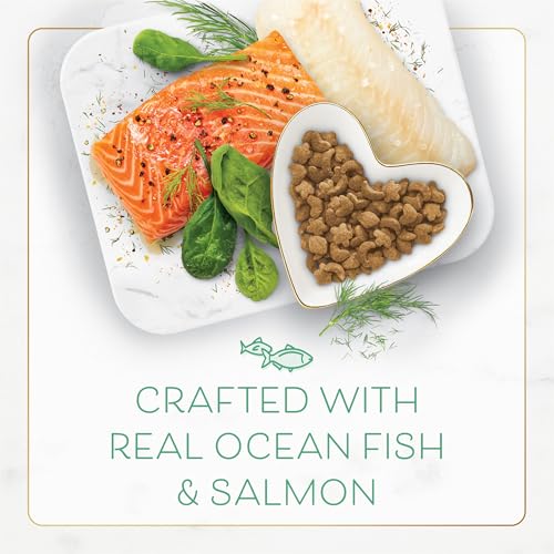 Purina Fancy Feast Dry Cat Food With Ocean Fish, Salmon, and Garden Greens Accents - 7 lb. Bag - view 4
