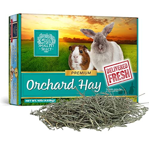 Small Pet Select Orchard Grass Hay Pet Food for Rabbits, Guinea Pigs, Chinchillas and Other Small Animals, Pre - view 2