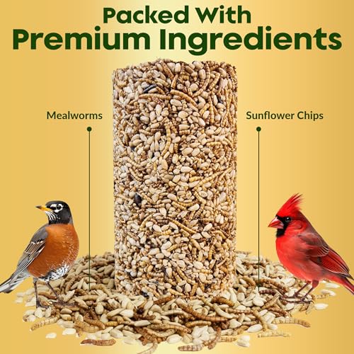 Mealworm Bird Seed Cylinders with Hole – Premium Mealworm Birdseed Log – Sunflower Chips & Dried Mealworms for - view 3