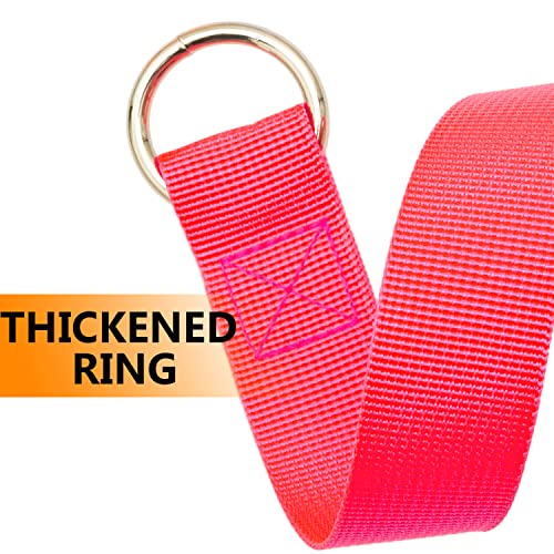 Slip Lead Dog Leash - 10 pcs Colorful 6 FT Short Dog Leashes with O-Ring for Small Large Dogs Puppy Cats Walki - view 5