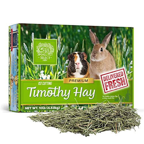 Small Pet Select 1st Cut Timothy Hay Pet Food for Rabbits, Guinea Pigs, and Other Small Animals, Easy to Store - view 2